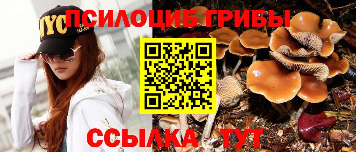 Псилоцибиновые грибы мухоморы  Вход с VPN  Домодедово  Галлюциногенные грибы прущие грибы 