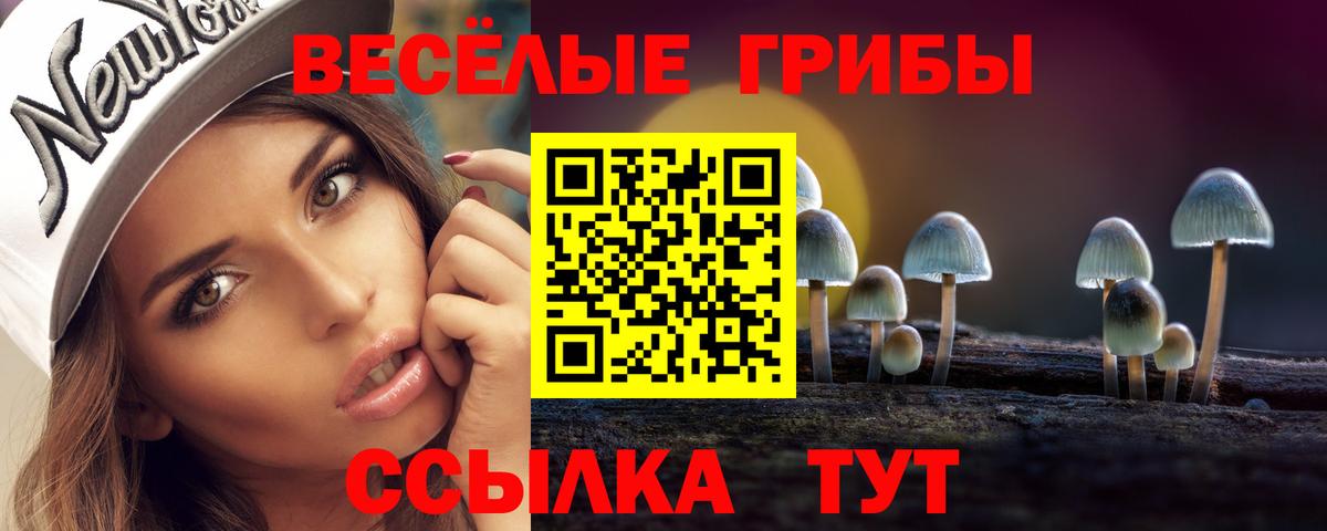Галлюциногенные грибы мицелий Домодедово